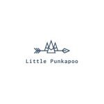 Little Punkapoo