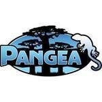 Pangea Reptile Co.