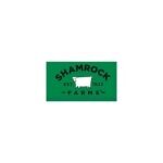 Shamrock Farms