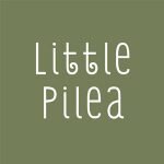 Little Pilea