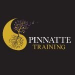 Pinnatte Training