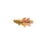 Forestprints Design