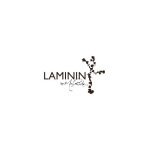 Laminin by Missy Robertson