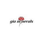 Gia Minerals