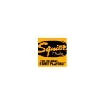 Squier Guitar