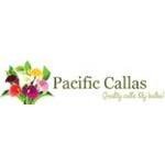 Pacific Callas promo codes