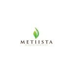 Metiista