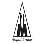 Finding Equilibrium Codes