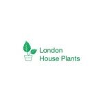 London House Plants