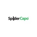 SpiderCapo