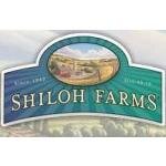 Shiloh Farms - Organic Sorghum Grain, 2 Packs