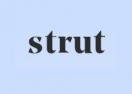 Strut promo codes