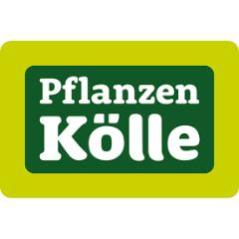 Pflanzen Kolle DE