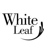 White Leaf