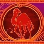 Redcamel.net