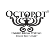 Fall into Savings: 30% Discount at Octopots