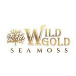 Wild Gold Sea Moss