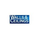 Walls & Ceilings Online