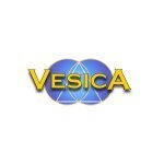 Vesica Institute