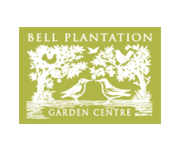 Save 25% on Antiques from Bell Plantation - First Order Special!