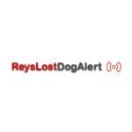 Reys Lost Dog Alerts