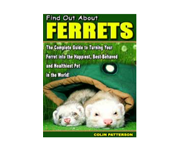 Find Out About Ferrets Coupons