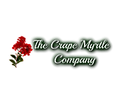 Crape Myrtle Company Coupons