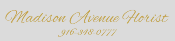 Madison Avenue Florist