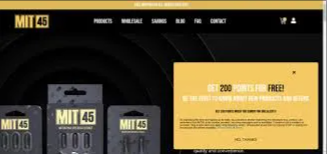 MIT45