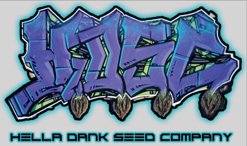 Unlock Amazing Discounts and Save Big at dankseed.store