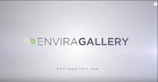 Envira Gallery