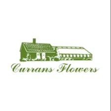 Currans Flowers