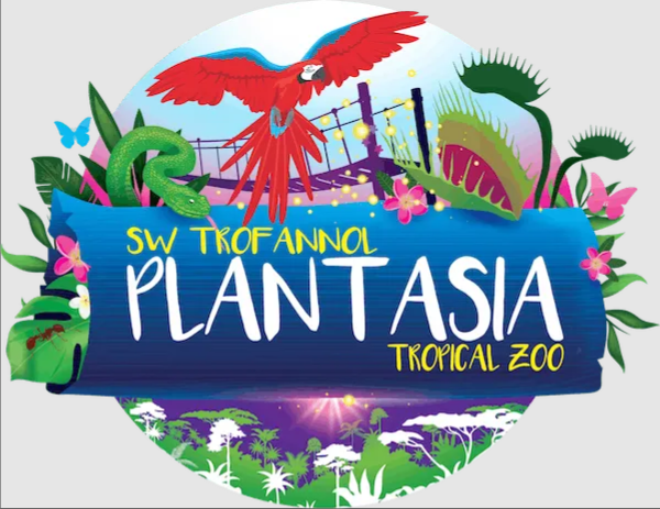 Plantasia Swansea
