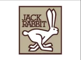rabbit r1