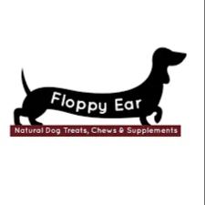 Floppy Ear
