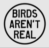 Birds Arent Real