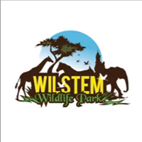 Wilstem
