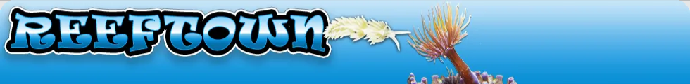 Free shipping for orders over $299 within US