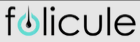 Folicule