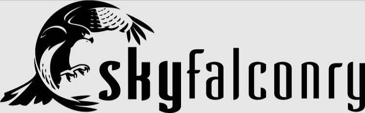 Sky Falconry