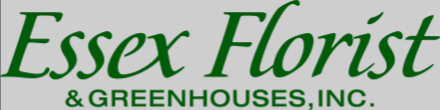 Essex Florist