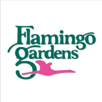 Flamingo Gardens