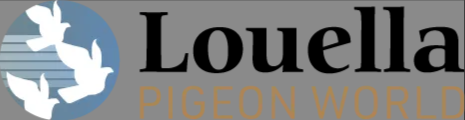 Louella Pigeon World