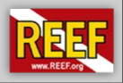 REEF.org
