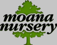Moana Nursery