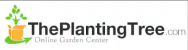 The Planting Tree