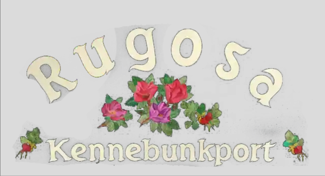 Rugosa Lobster Tours