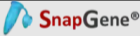 Snapgene