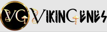 Vikingenes